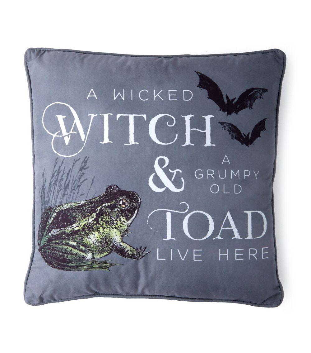 18″ x 18″ Halloween Witch & the Toad Pillow  |   Home Decor Home & Decor Home Decor